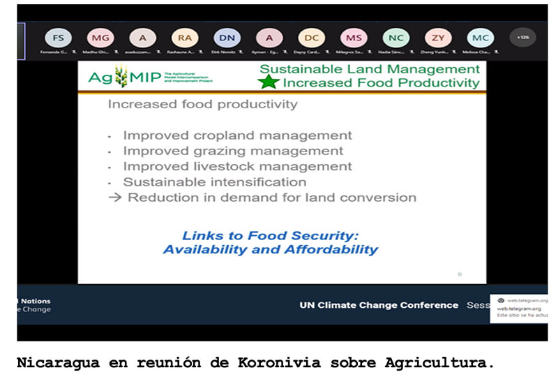 sesiones-cambio-climatico